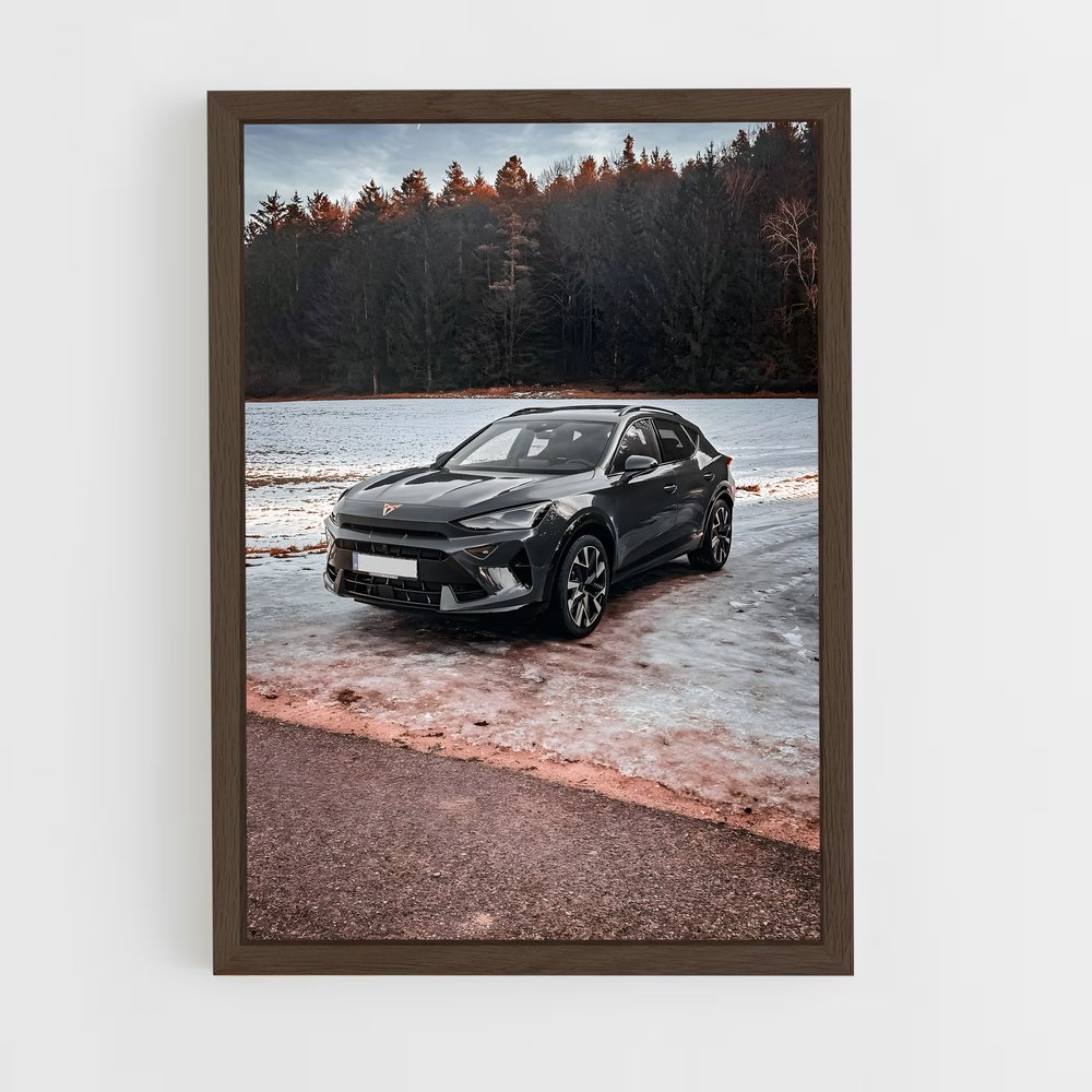 Poster Formentor de Évasion – affiche Cupra (vue 5)